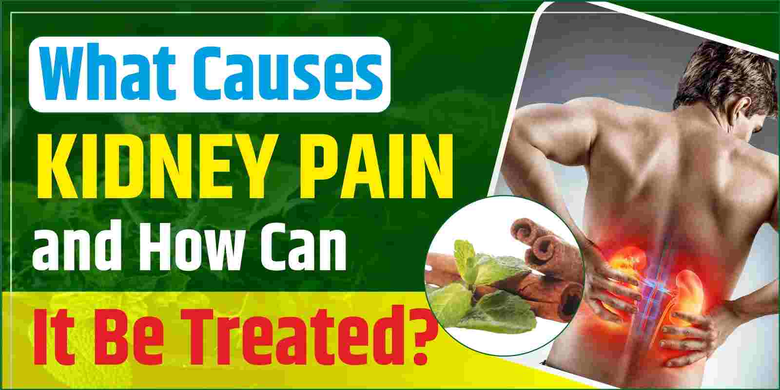 What Causes Kidney Pain and How Can It Be Treated?